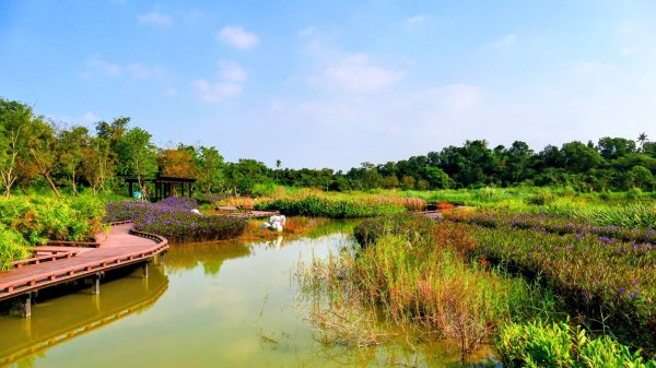 大社觀音山湖2954914