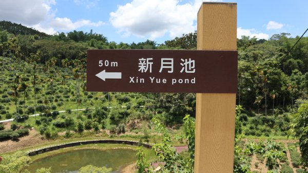 澀水森林步道登山健行趣(步道)2259801