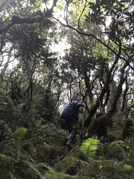 讓嚮導犬小黑帶你悠遊唐穗山1391220