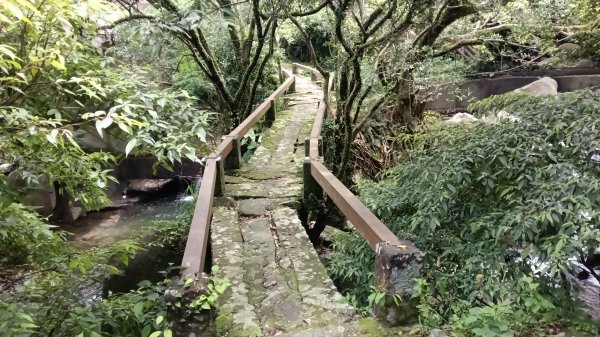 三芝區龜子山橋-三板橋-大屯溪古道(殘念)去回3090812