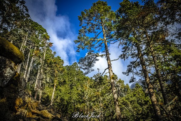 雪山主峰一日單攻963335
