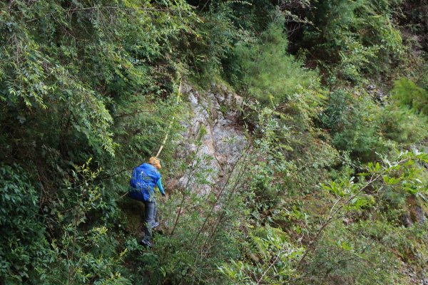 遠得要命山頭：清水金子西巒連稜1849157