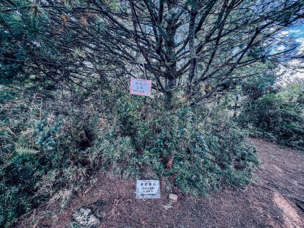 塔塔加五峰2761064