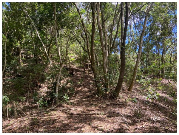 南東眼山 新基石 (南投、仁愛)2844772