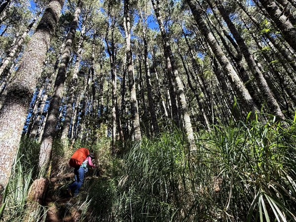 觀雲山莊經小完美谷上畢祿山O繞2917192