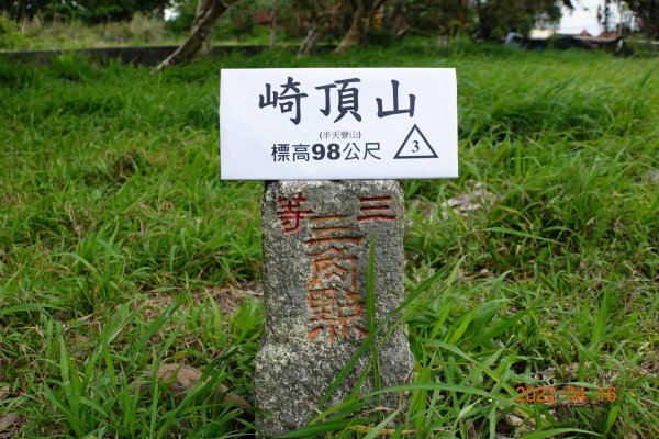 苗栗 後龍 崎頂山(半天寮山)