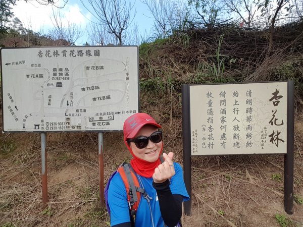 待老坑山順遊杏花林837212