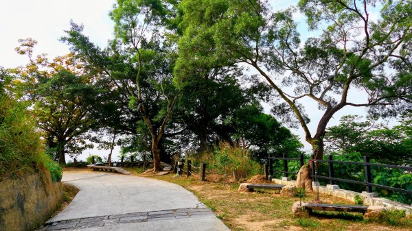 大社觀音山2954770