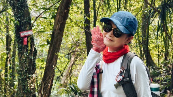 東勢大崙、東勢坑山、觀音湖山O走2986288