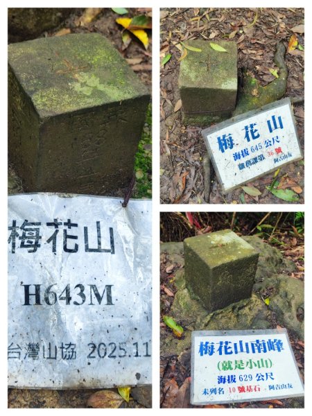 2026台北大縱走3014264