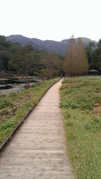 福山植物園964644