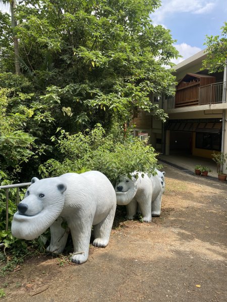 20250706-EP.06犁頭山、文山步道-2025森遊竹縣皮皮獅探險隊2851712