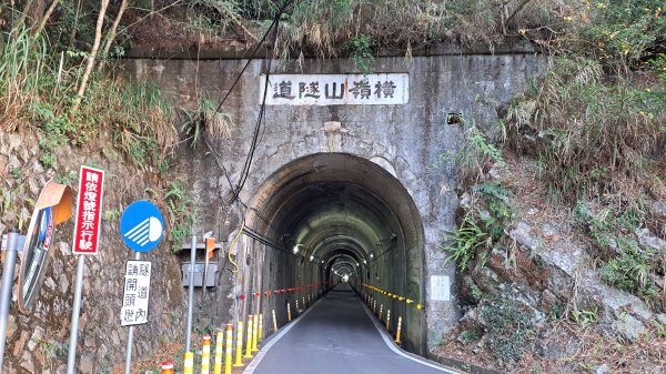 台中 鳶嘴稍來山O繞+稍來神木2989450
