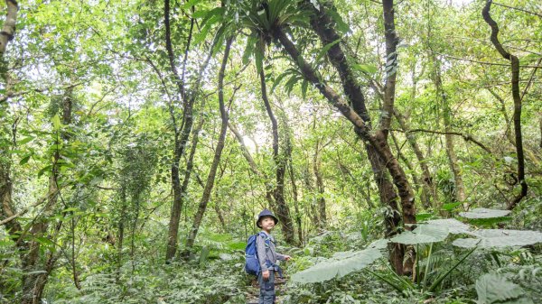 台北大縱走第七段 指南宮千階步道-樟山寺1742859