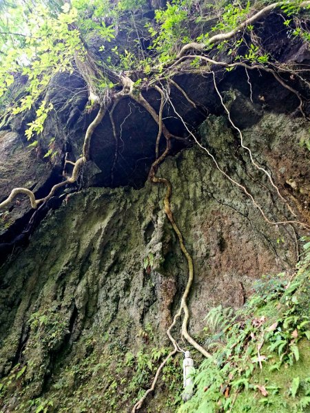 (五分山系)平溪小黃山-2025微笑山線大縱走尋寶集章任務2855290