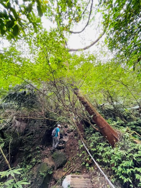 淡蘭中路（暖暖車站-十分車站）1685523