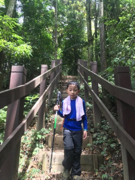 新竹五指山599753