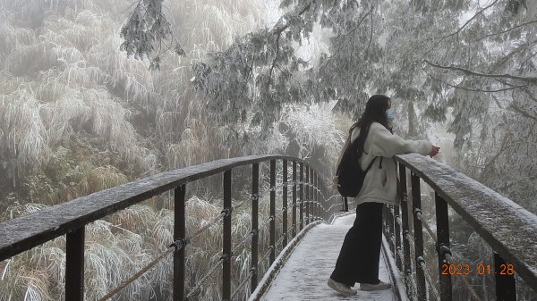 霧茫茫雪白冰封世界-太平山首度追霧淞成功202301282009632