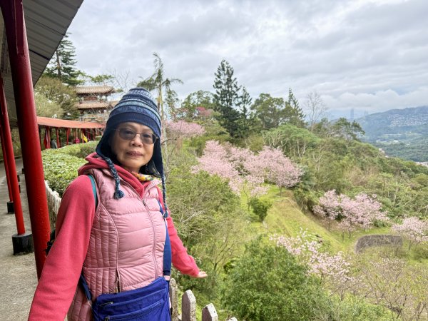 指南宮賞櫻2708128