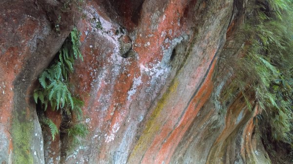 繽紛絢麗的鳶山彩色大岩壁723858