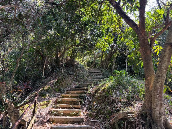 南觀音山步道2731300