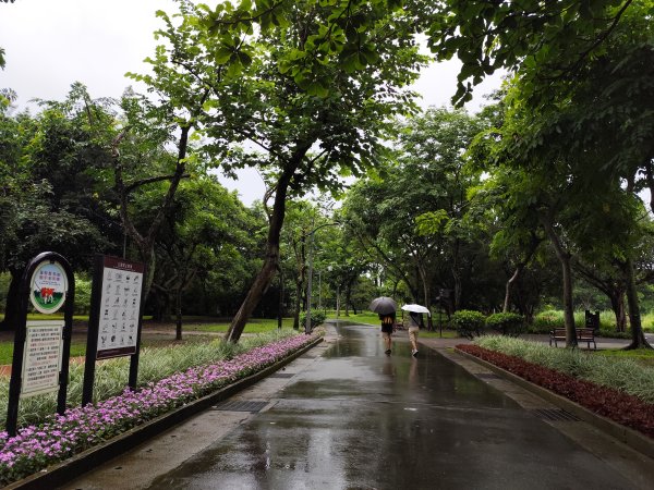 大安森林公園、西門町、象山公園【2025臺北健走趣】2834202