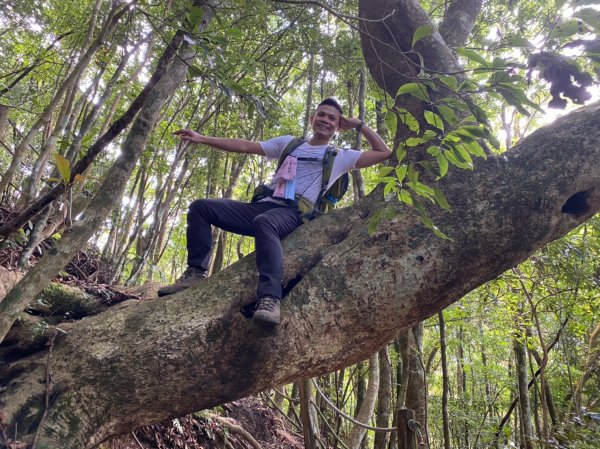 泰安溫泉.鳥嘴山【強筋健骨 養顏美容的套1198628