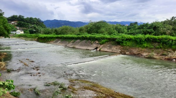 《南投》颱風過後｜竹山下坪吊橋河岸步道202407272559814