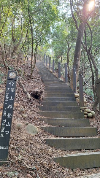 瑞井古道+竹坑山+竹坑南寮步道202603283045265