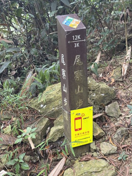 20251227尾寮山登山步道2970493