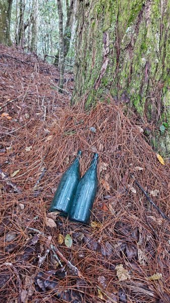 屯野生台山、石麻達山2993167