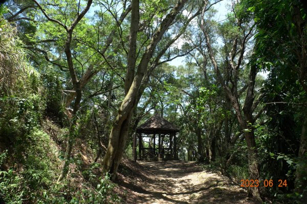 彰化 田中 田中森林登山步道2198466