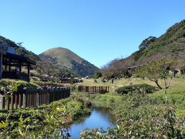 面天山、向天山賞芒行736957
