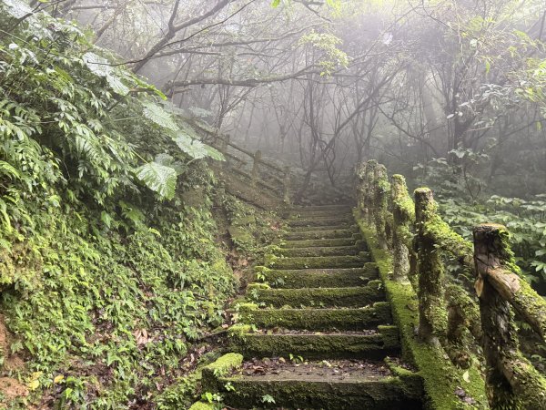 [微笑山線_第八段] 2026_0321 二格山系_二格山3020920
