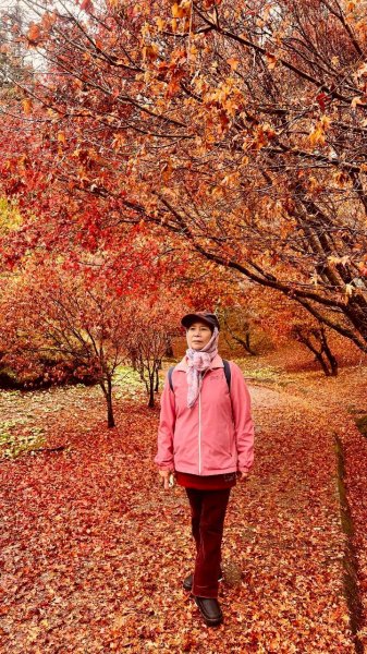 🌈12/20(六)福壽山農場~追風趣✨FB：熊熊趴爬走🌈2967284