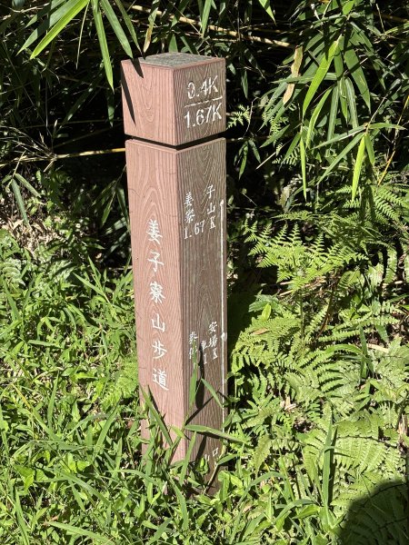 姜子寮山3089939