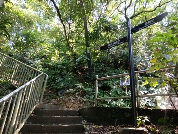 基隆市劉銘傳隧道+西砲台山+獅球嶺北峰+獅球嶺+北碉堡群+東砲台山3004665