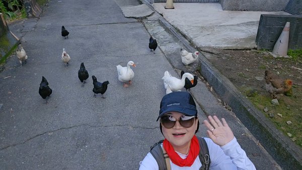 20260210南榮山.獅球嶺砲台群.劉銘傳隧道.天天鮮排骨飯2997122