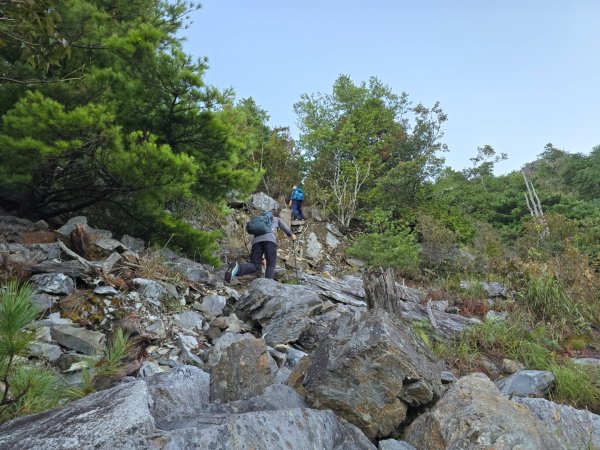 20241012 馬白單攻(馬崙山、白姑大山)2643366