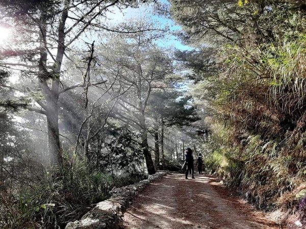 冰霜嘉明湖876729