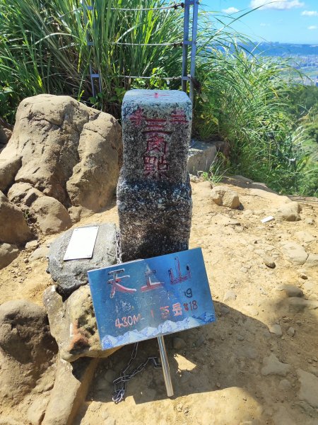 微笑山線：【天上山系】望月亭桐花段2860688