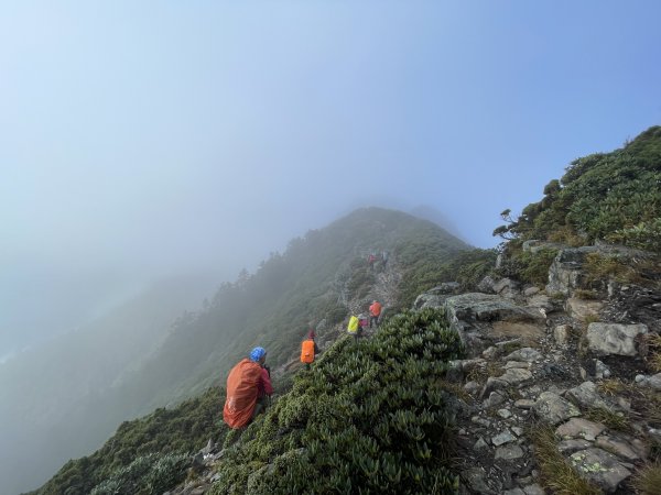 一日小O聖 2024 11/222865495