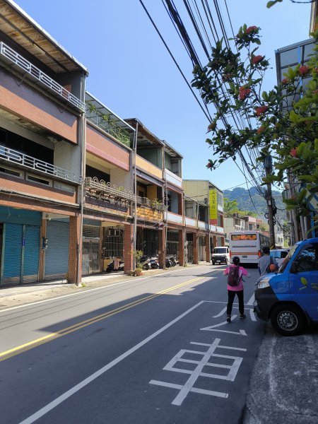 20250913微笑山線：【天上山系】望月亭桐花段2883461