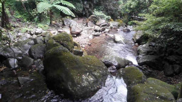 青山瀑布步道818986