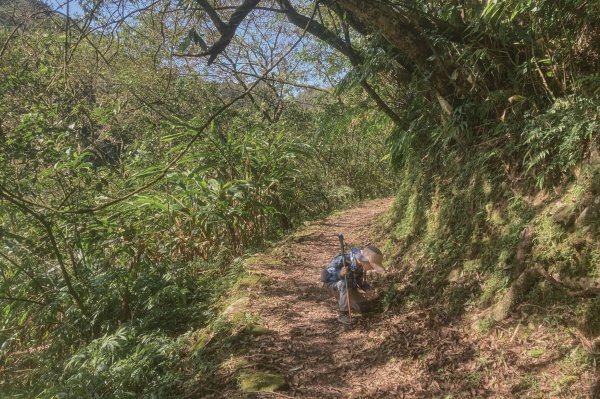 灣潭古道 & 北勢溪古道連走(淡蘭古道中路)2030163
