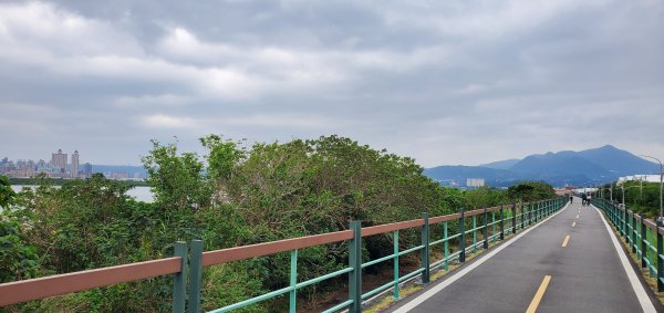 2024-12-21臺北大縱走第八段：捷運動物園站至捷運關渡站[河濱自行車道]2675297