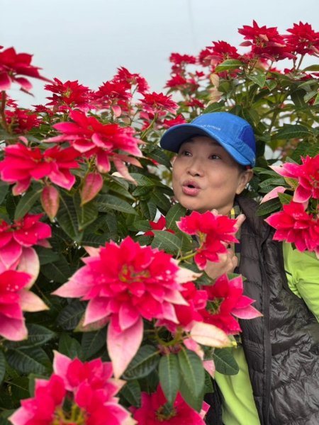 小百岳馬那邦山(H1407m)加碼採草莓2694714