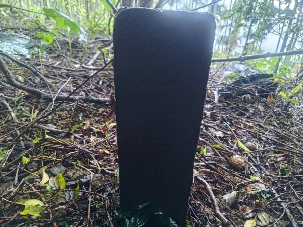 華山4-2號步道上雲嘉連峰2579395