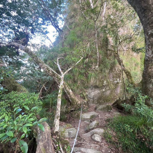 20251013_都蘭山（台東小百岳）2941329