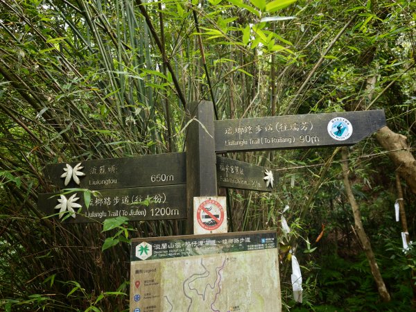 [淡蘭古道] 2026_0531 北路第一段_琉榔路步道3070551